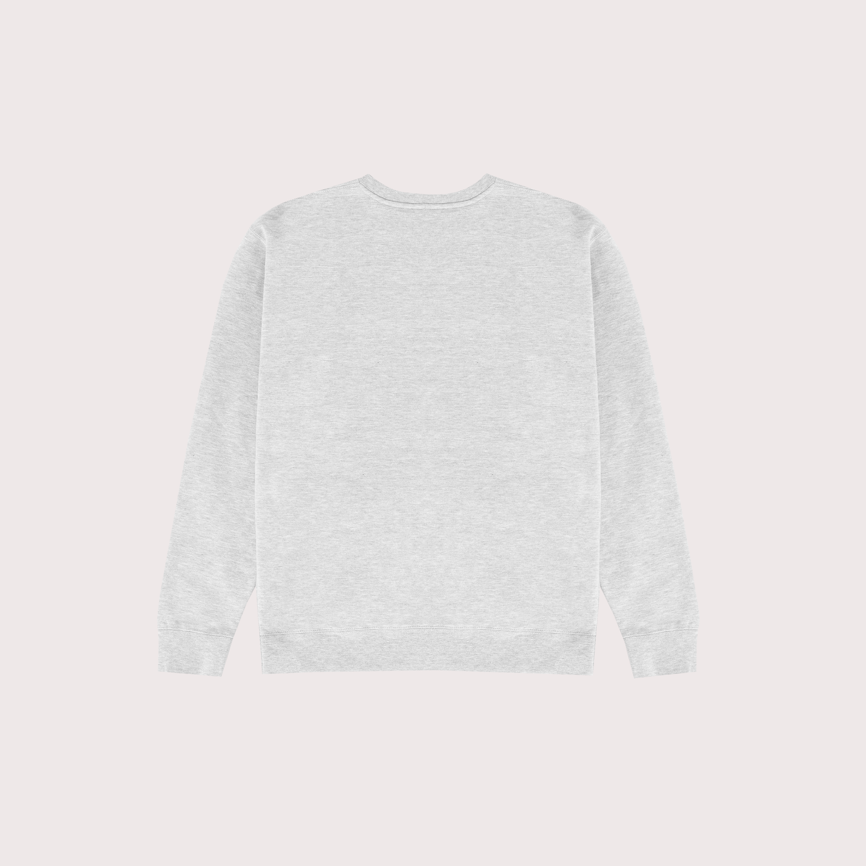 Fenway Fanatic Crewneck Back