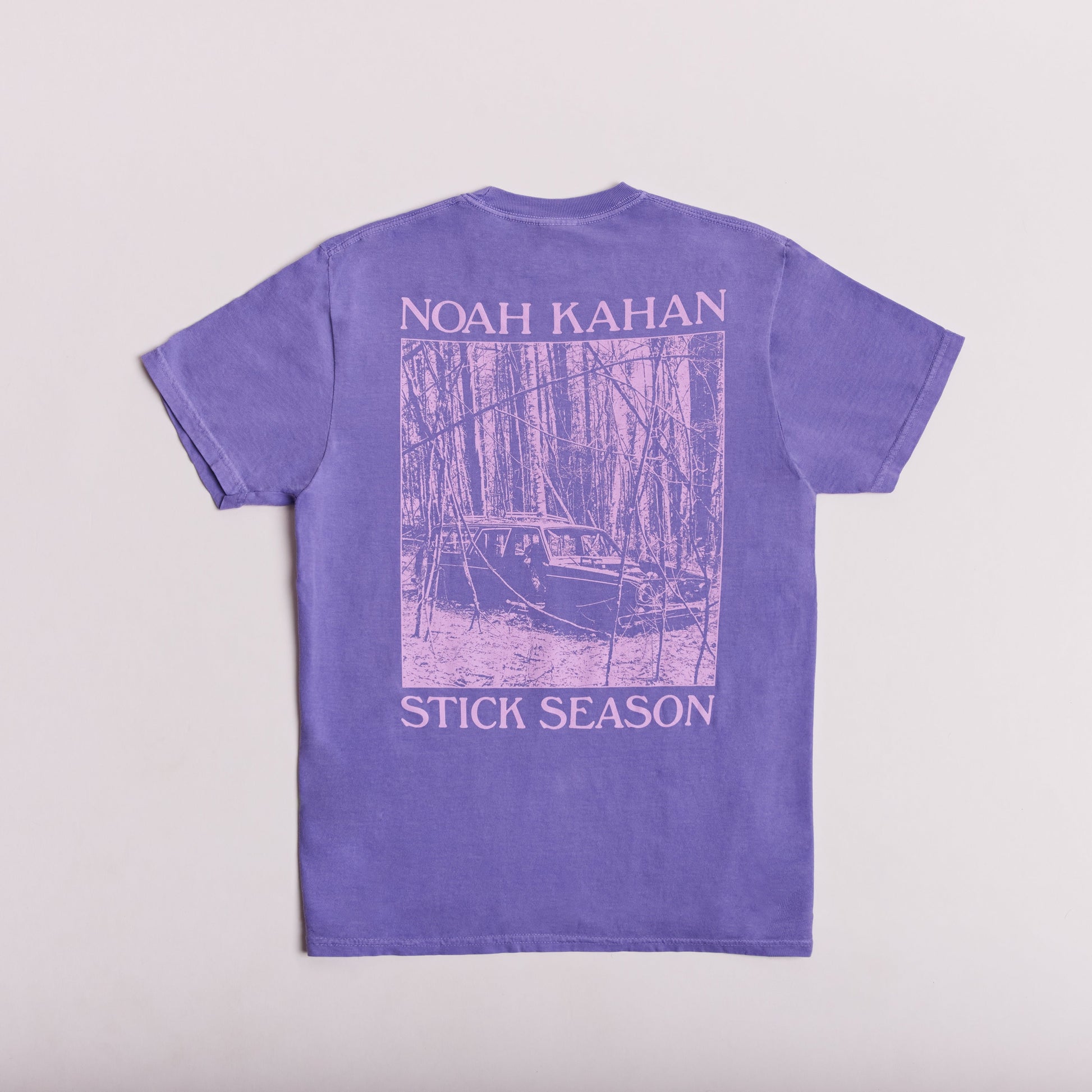 Stick Season Violet Tee Back