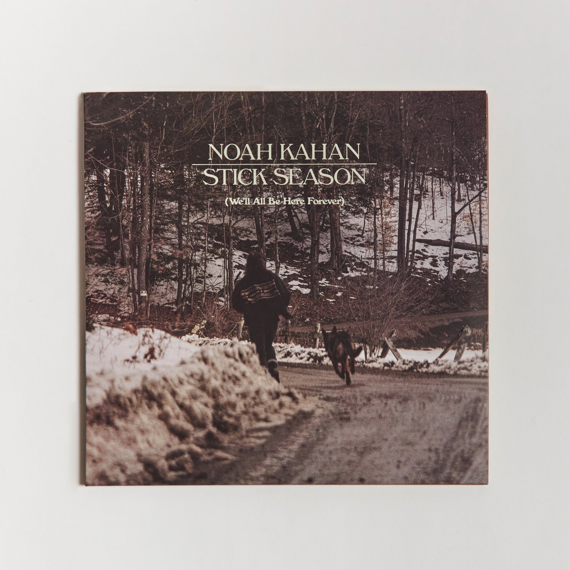 Stick Season (We'll All Be Here Forever) Deluxe Vinyl - Black Ice Front