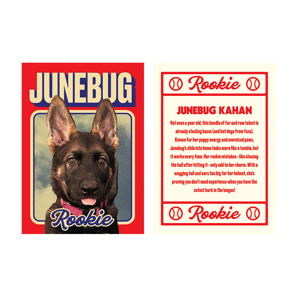 Live From Fenway Baseball Card Pack Junebug