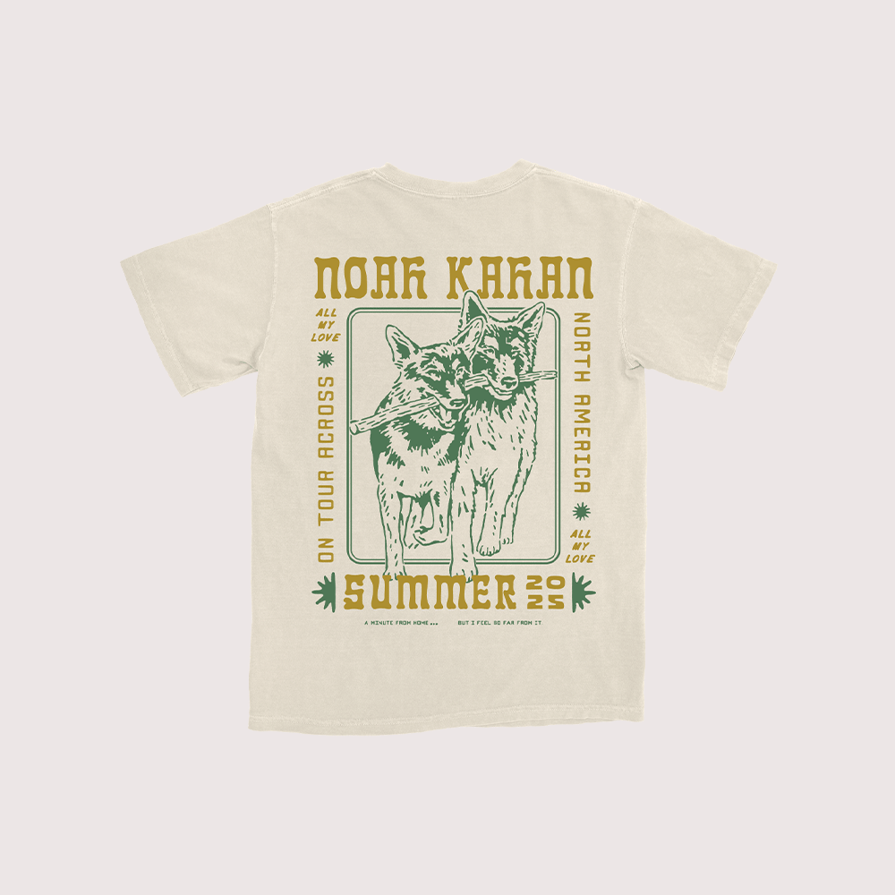 Passing Through USA Tee Back