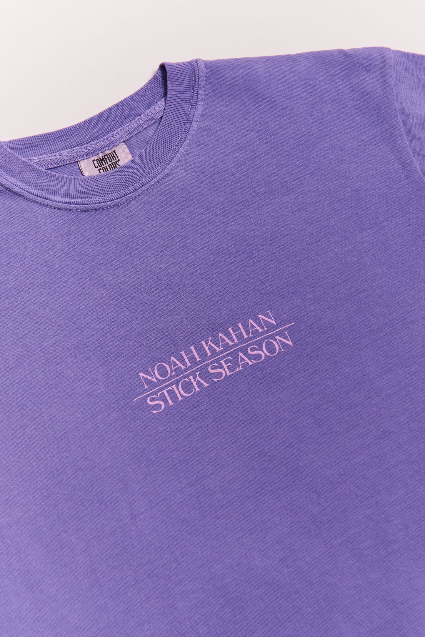 Stick Season Violet Tee