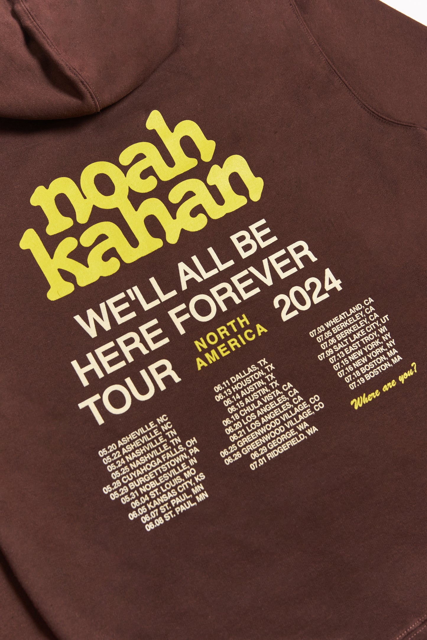 2024 We'll All Be Here Forever Tour Hoodie